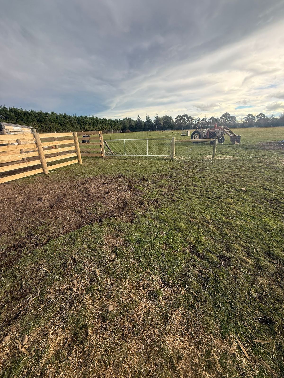 Timber cattle yards built for stock handling
