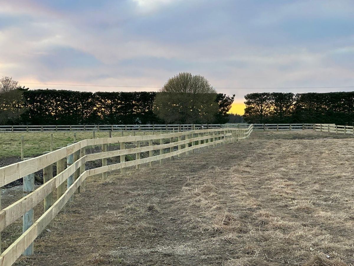 Post and rail fencing curving with the ground, the sun going down behind a macrocarpa hedge