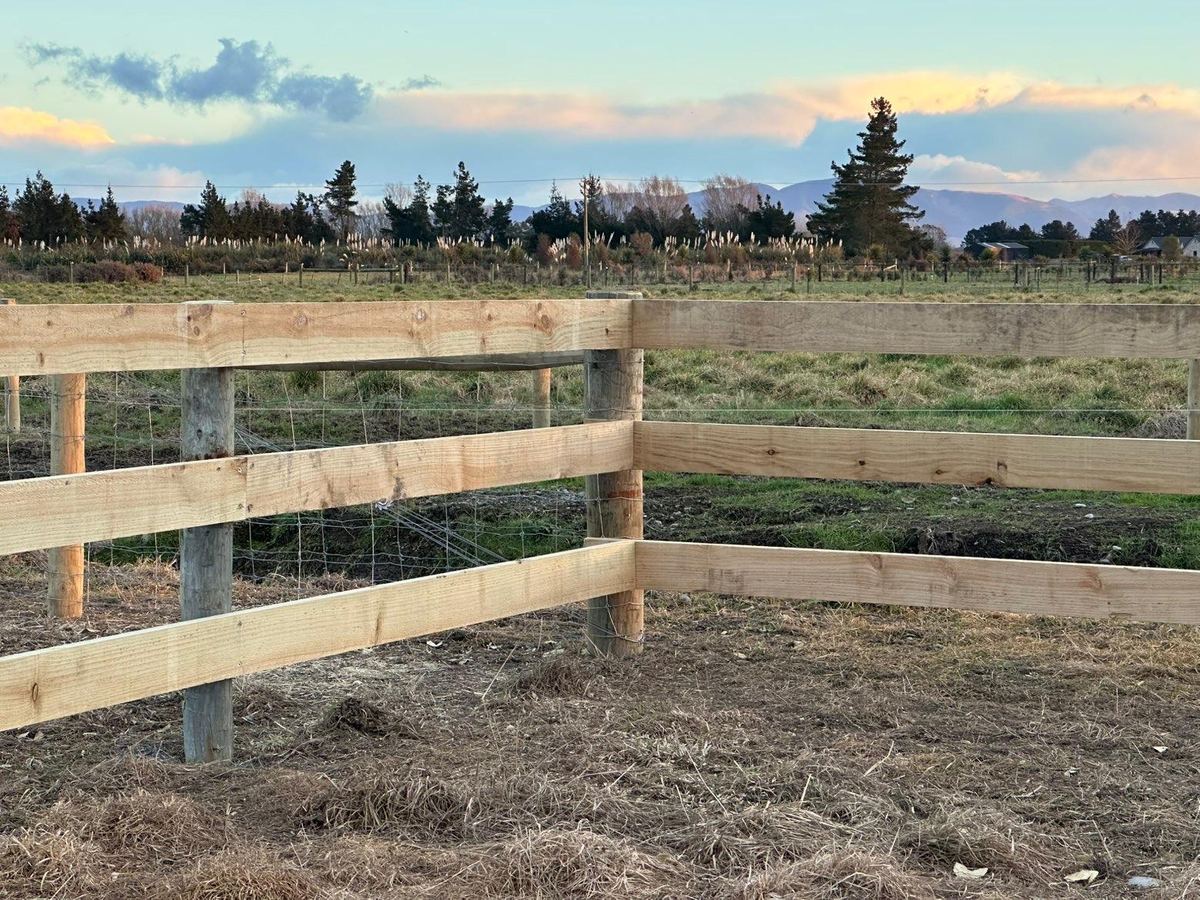 Post and rail fencing joining at a corner post, netting behind the rails, the Southern Alps beyond
