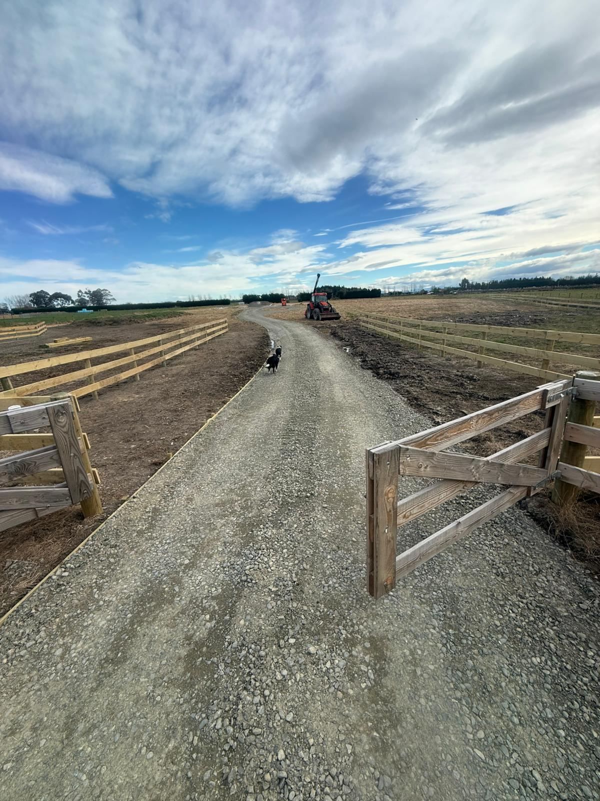 A new metalled farm driveway, post and rail fencing both sides, a gate open and the dog on the track