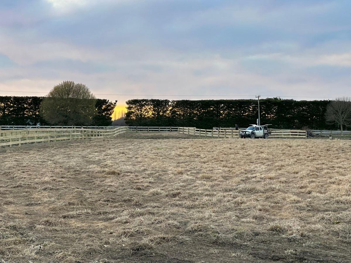 A paddock enclosed with new post and rail fencing at dusk, the ute parked at the far corner