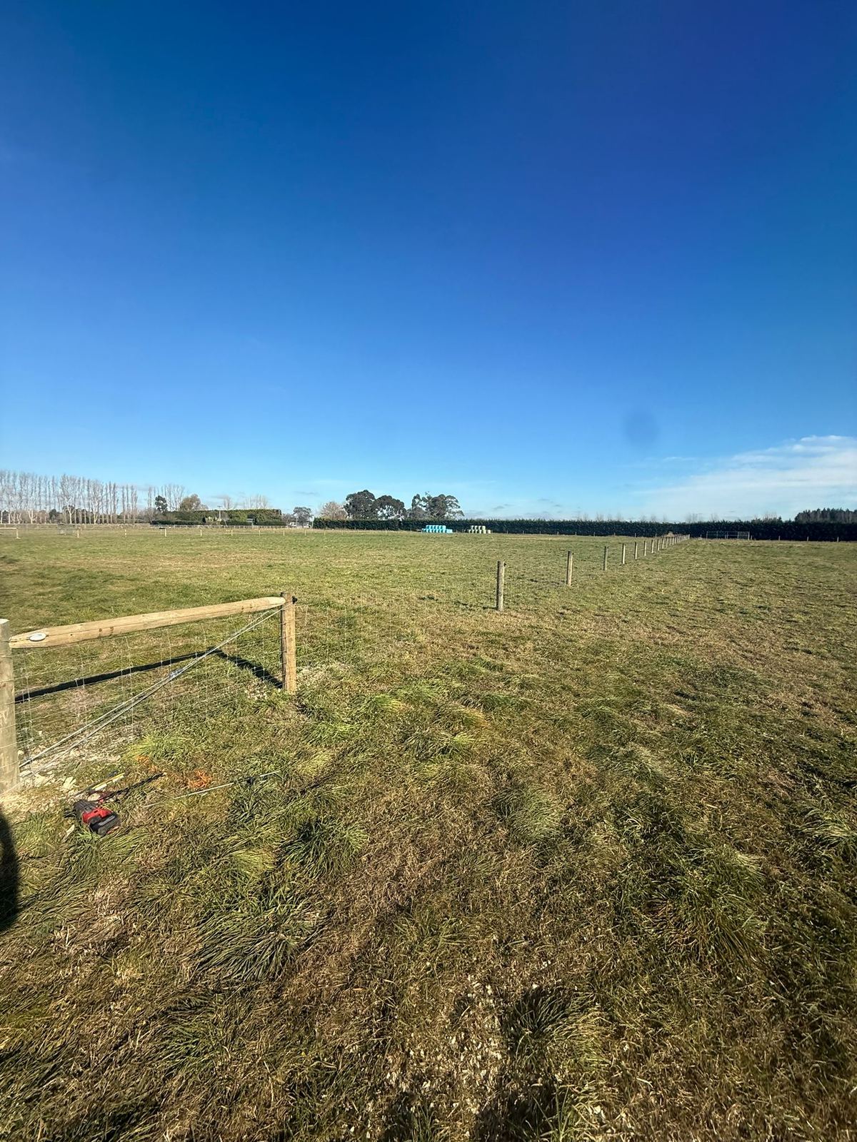 A paddock enclosed with new stock fencing