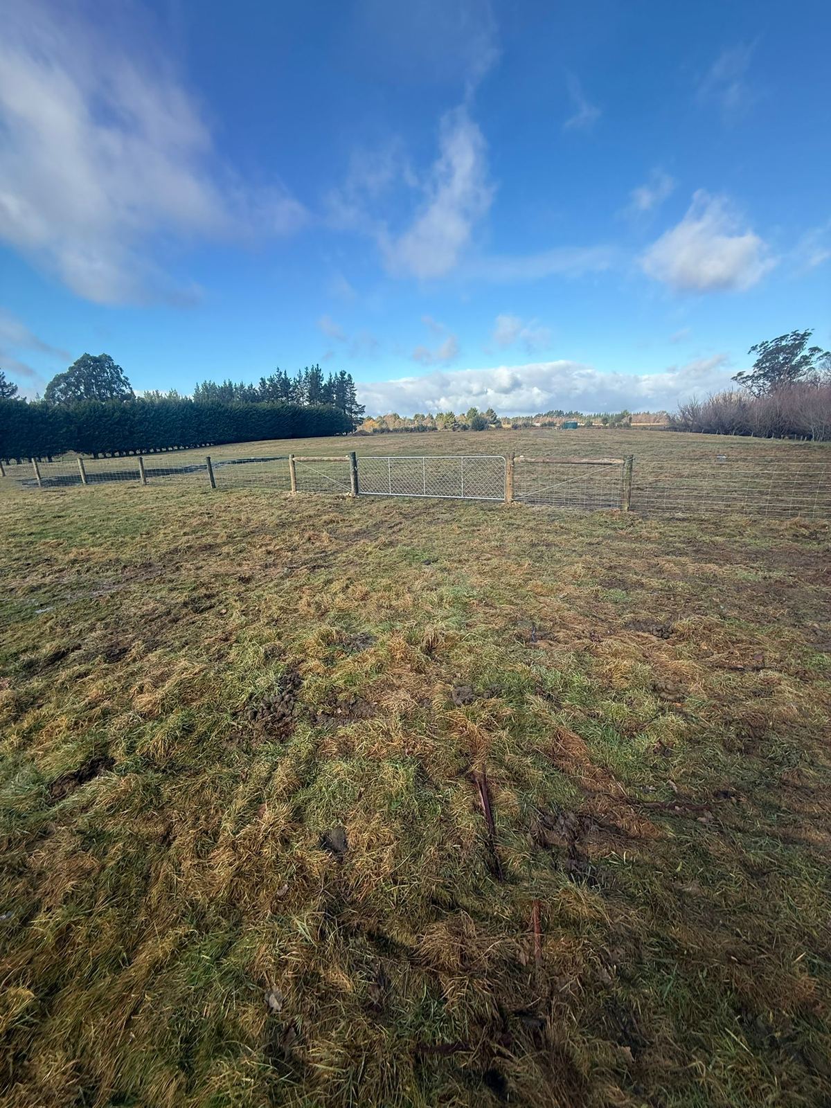 A new stock fence of netting and wire on timber posts across farmland